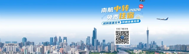 中国南方航空官网 标志
